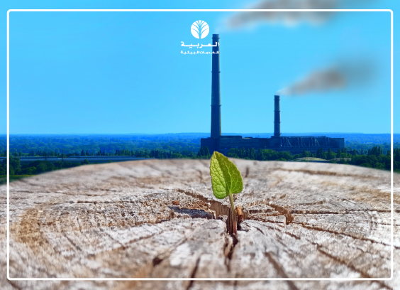 أهمية السجلات البيئية